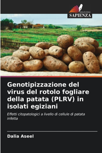Genotipizzazione del virus del rotolo fogliare della patata (PLRV) in isolati egiziani