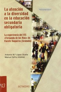 Atencion a la diversidad en la educacion secundaria obligatoria, La