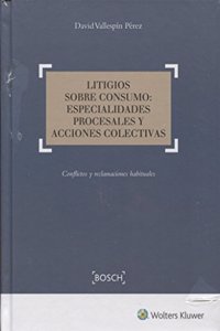 Litigios sobre consumo: especialidades procesales y acciones colectivas: Conflictos y reclamaciones habituales