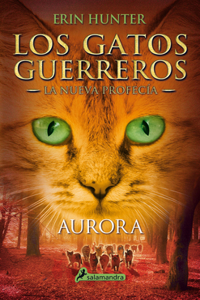 Aurora / Dawn