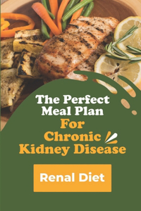 Perfect Meal Plan For Chronic Kidney Disease