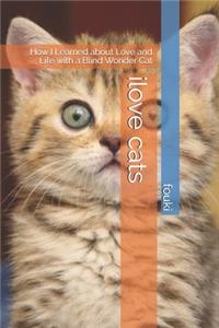 ilove cats