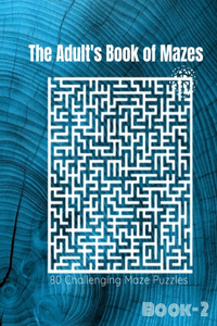 The Adult's Book Of Mazes
