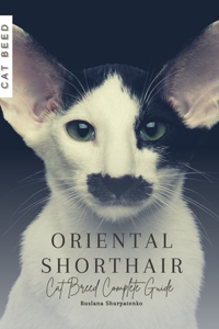 Oriental Shorthair