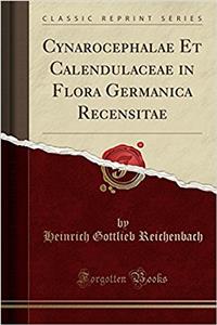 Cynarocephalae Et Calendulaceae in Flora Germanica Recensitae (Classic Reprint)