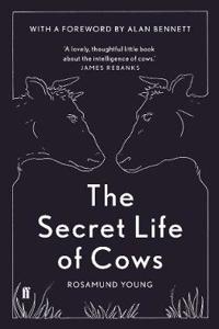 Secret Life of Cows