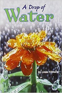 Houghton Mifflin Science: Ind Bk Lv5 Chp5 Challenge a Drop of Water