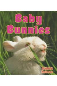 Baby Bunnies