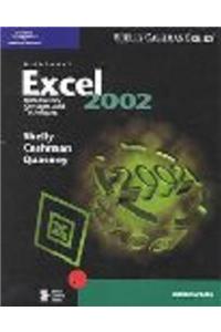 Microsoft Excel XP