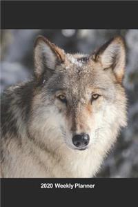 Plan On It 2020 Weekly Calendar Planner - Majestic Timber Wolf