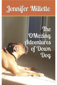 OMazing Adventures of Down Dog