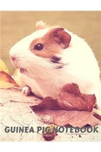 Guinea Pig Notebook