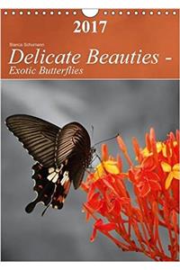 Delicate Beauties - Exotic Butterflies 2017