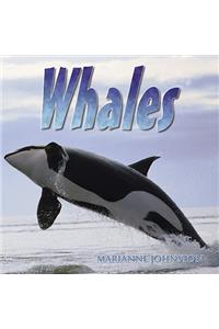 Whales