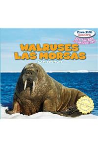 Walruses / Las Morsas