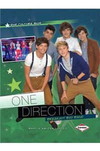 One Direction: Breakout Boy Band