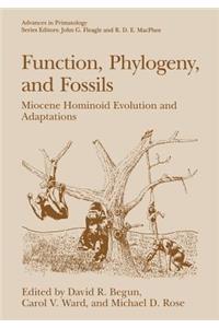 Function, Phylogeny, and Fossils: Miocene Hominoid Evolution and Adaptations