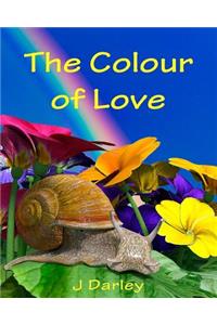 Colour of Love