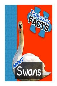 Fantastic Facts about Swans