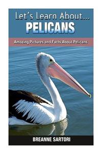 Pelicans: Amazing Pictures and Facts about Pelicans