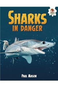 Sharks in Danger