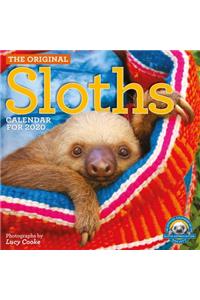 Original Sloths Wall Calendar 2020