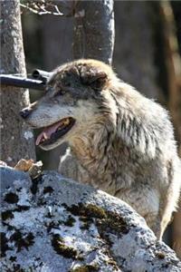 MindBlowing Wolf Journal 4