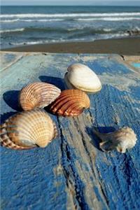 Sea Shell Journal