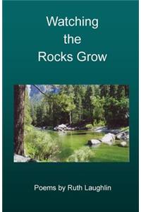 Watching the Rocks Grow