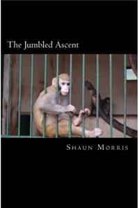 The Jumbled Ascent