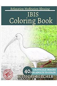 Ibis Coloring Book for Adults Relaxation Meditation Blessing