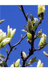 Magnolia Notebook