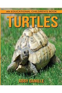 Turtles! An Educational Children's Book about Turtles with Fun Facts & Photos