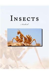 Insects Notebook