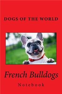 French Bulldogs Notebook