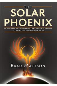 The Solar Phoenix
