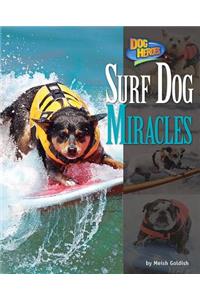 Surf Dog Miracles