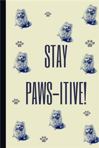 Stay Paws-Itive