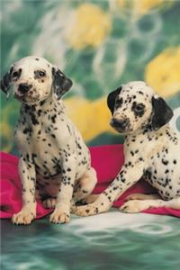 2020 Daily Planner Dalmatian Puppies Dog Photo 388 Pages
