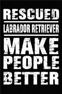 Rescued Labrador Retriever Make People Better