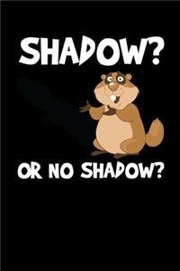 Shadow Or No Shadow