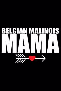 Belgian Malinois Mama