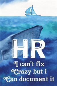 HR I Can't Fix Crazy But I Can Document It