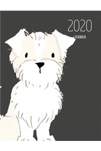 2020 Terrier