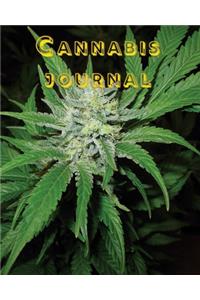 Cannabis Journal