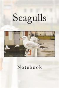 Seagulls