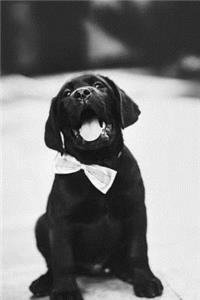 Labrador Journal
