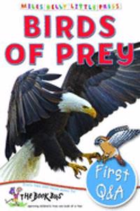First Q&A Birds of Prey