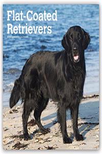 Flat Coated Retriever 2021 Wall Calendar