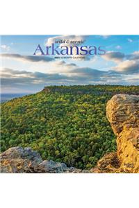 Arkansas Wild & Scenic 2021 Square Foil